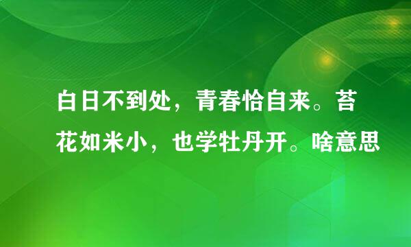 白日不到处，青春恰自来。苔花如米小，也学牡丹开。啥意思