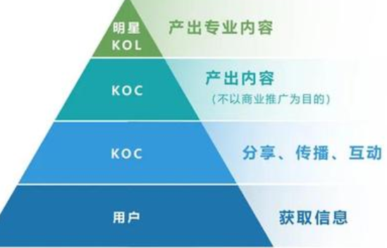 koc和kol的意思