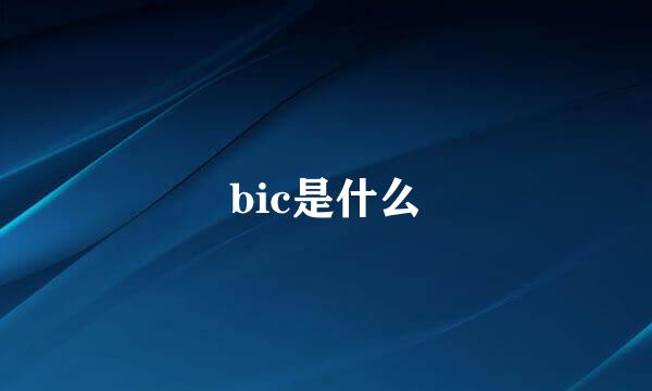 bic是什么