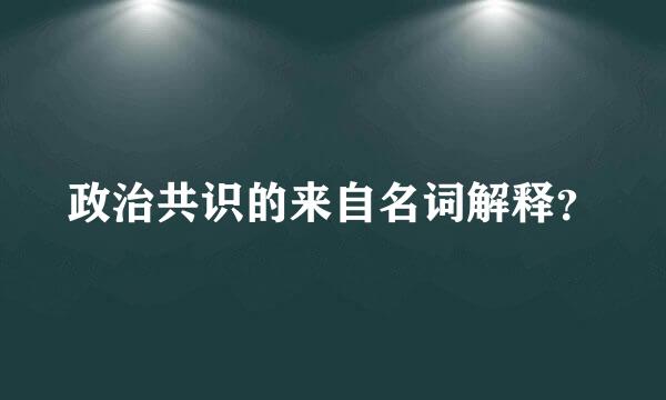 政治共识的来自名词解释？