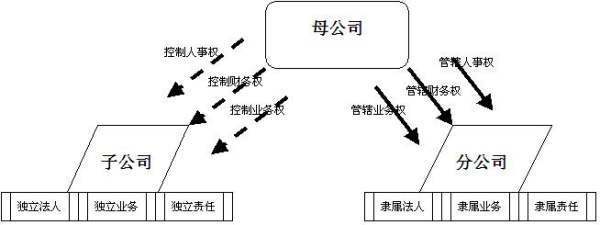 母来自子公司与总分公司的区别