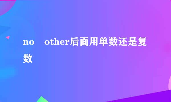 no other后面用单数还是复数