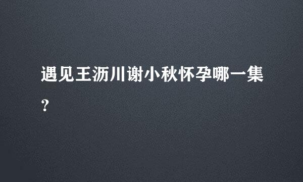 遇见王沥川谢小秋怀孕哪一集？