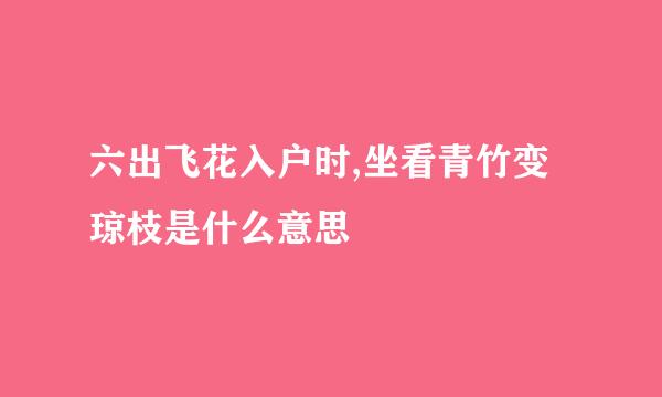 六出飞花入户时,坐看青竹变琼枝是什么意思