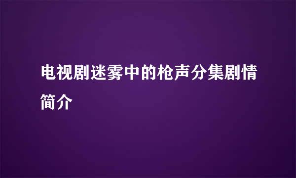 电视剧迷雾中的枪声分集剧情简介