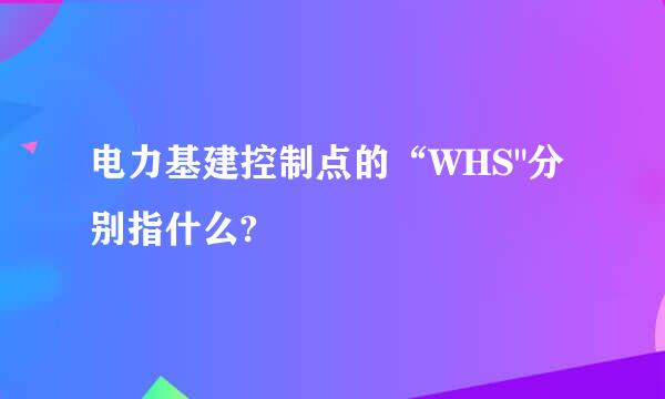 电力基建控制点的“WHS