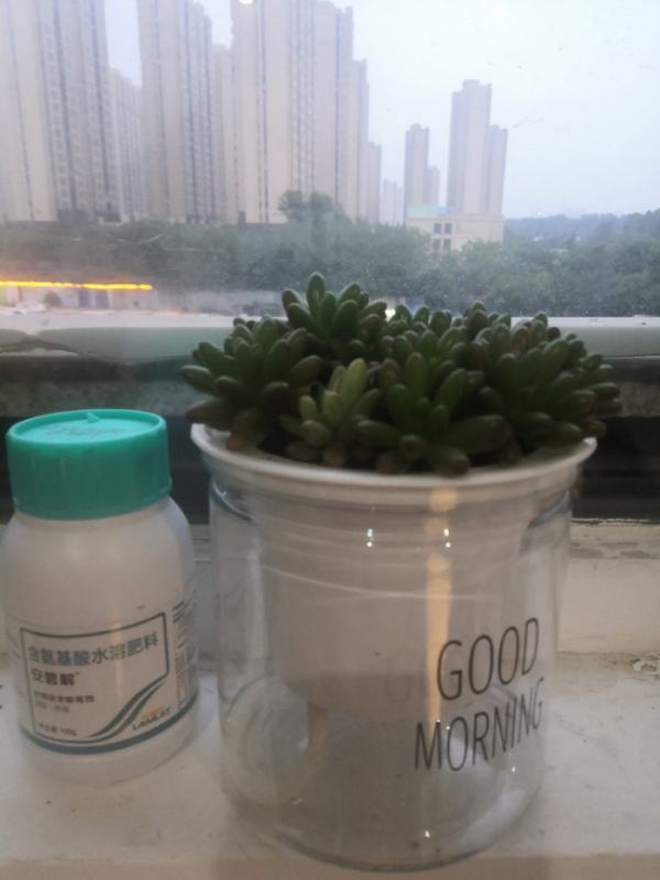 植物怎么过冬图片