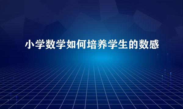 小学数学如何培养学生的数感