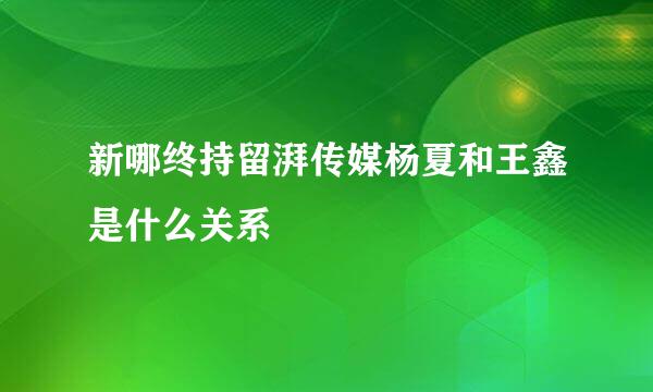 新哪终持留湃传媒杨夏和王鑫是什么关系