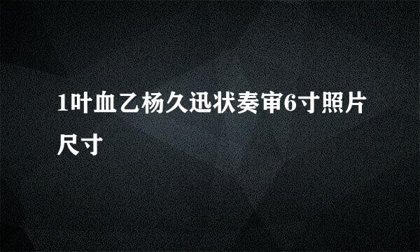 1叶血乙杨久迅状奏审6寸照片尺寸