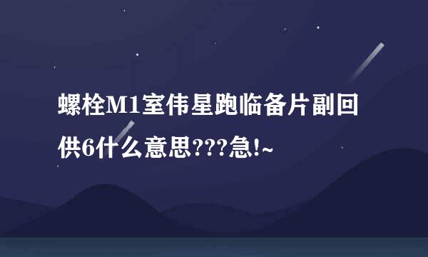 螺栓M1室伟星跑临备片副回供6什么意思???急!~