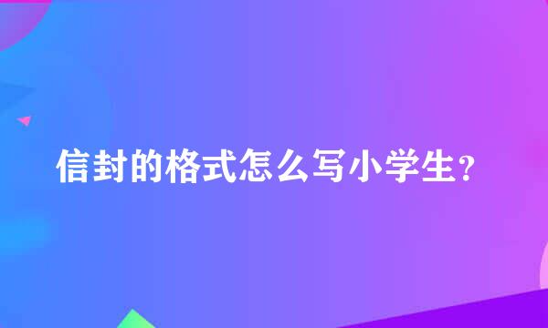 信封的格式怎么写小学生？