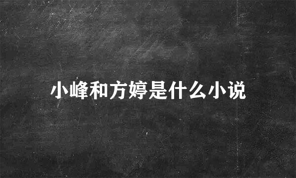 小峰和方婷是什么小说