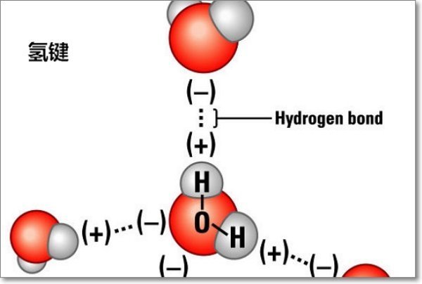 DNA分子氢键除洲和剂举处如何形成?