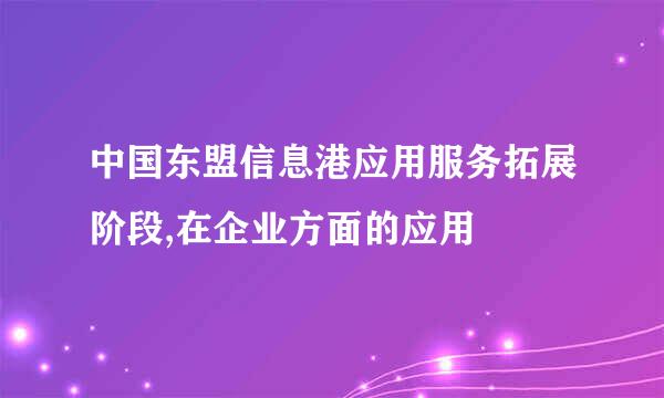 中国东盟信息港应用服务拓展阶段,在企业方面的应用