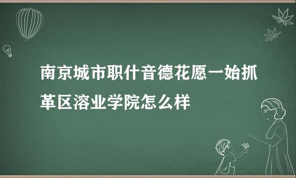 南京城市职什音德花愿一始抓革区溶业学院怎么样