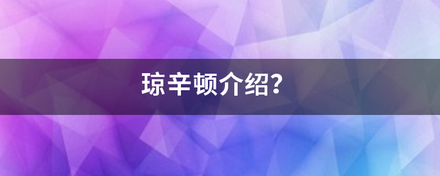 琼辛顿介绍？