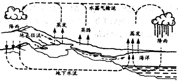 水是从哪里来的图片