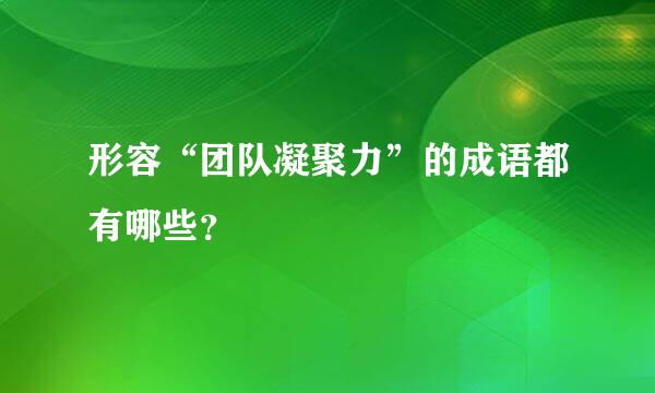 形容“团队凝聚力”的成语都有哪些？