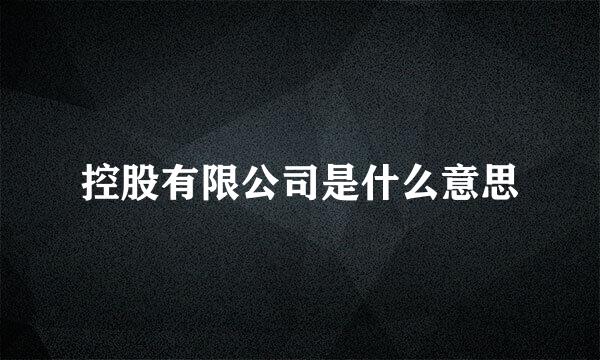 控股有限公司是什么意思