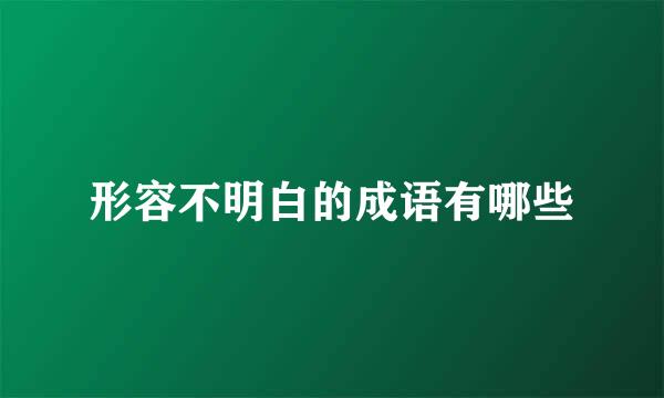 形容不明白的成语有哪些