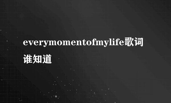 everymomentofmylife歌词谁知道