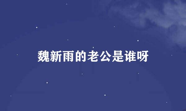 魏新雨的老公是谁呀