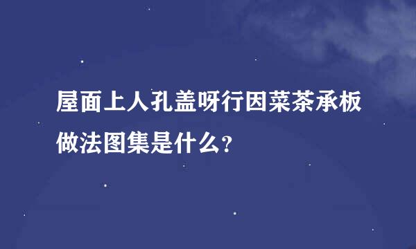 屋面上人孔盖呀行因菜茶承板做法图集是什么？