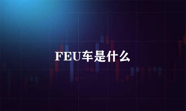 FEU车是什么