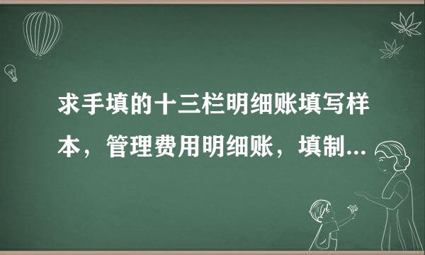 求手填的十三栏明细账填写样本，管理费用明细账，填制样式，邮箱:lyj4088677@163.com,在此谢谢了!