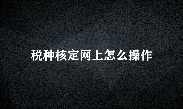 税种核定网上怎么操作