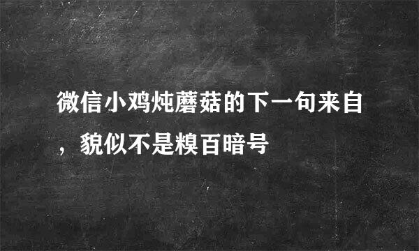 微信小鸡炖蘑菇的下一句来自，貌似不是糗百暗号