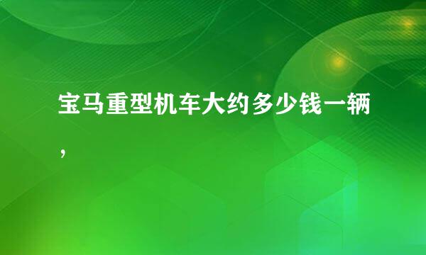 宝马重型机车大约多少钱一辆，