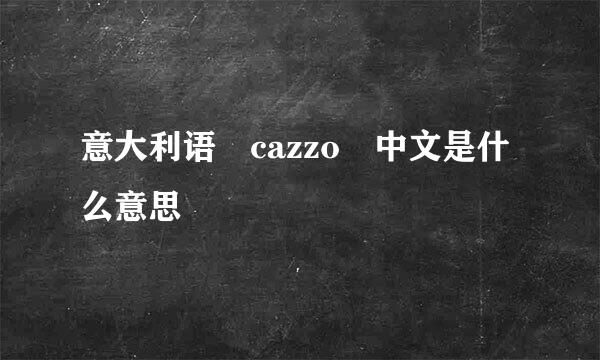 意大利语 cazzo 中文是什么意思