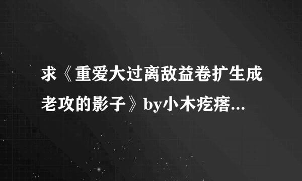 求《重爱大过离敌益卷扩生成老攻的影子》by小木疙瘩 百度云