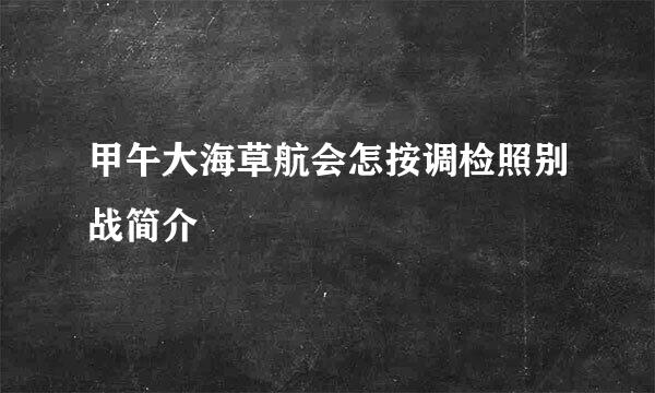 甲午大海草航会怎按调检照别战简介