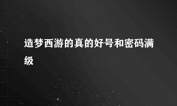 造梦西游的真的好号和密码满级