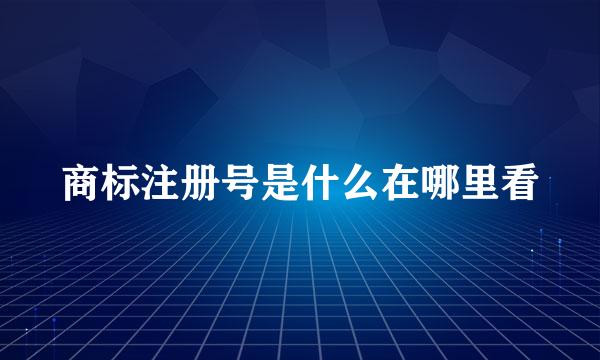 商标注册号是什么在哪里看