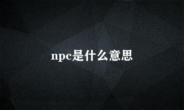 npc是什么意思