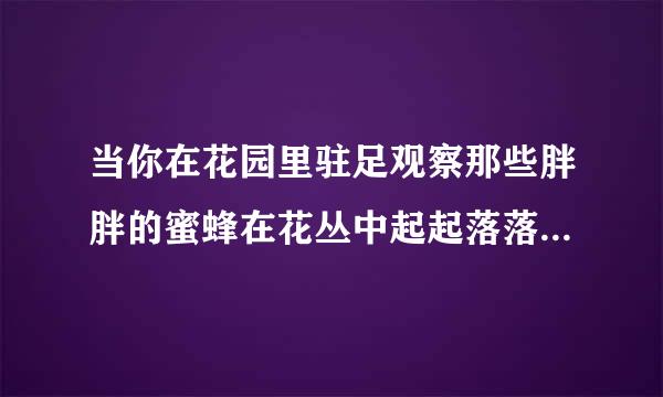 当你在花园里驻足观察那些胖胖的蜜蜂在花丛中起起落落，或者在厨房手拿苍蝇拍对着狡猾的苍蝇无可奈何时，你一定认同以下观点...