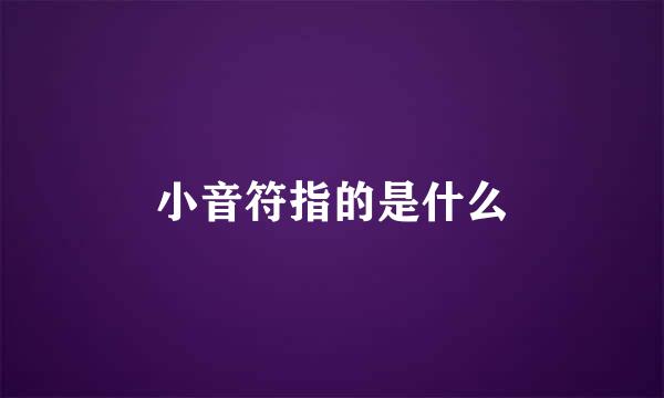 小音符指的是什么