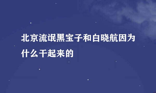 北京流氓黑宝子和白晓航因为什么干起来的