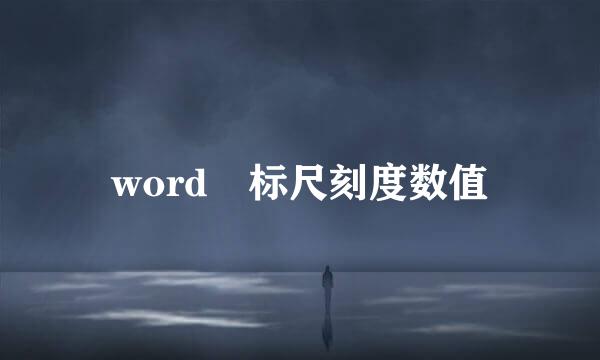 word 标尺刻度数值