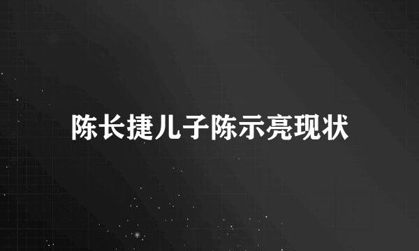 陈长捷儿子陈示亮现状