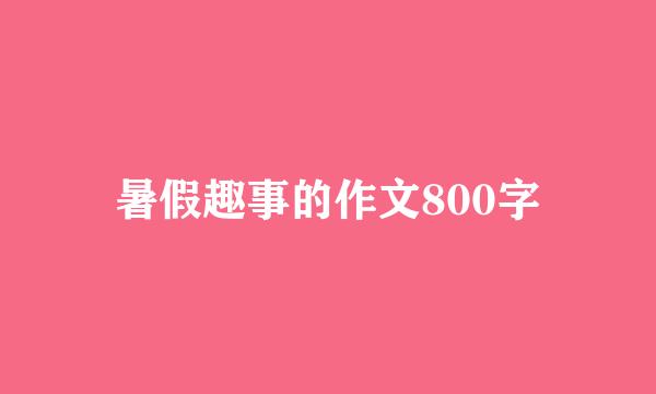 暑假趣事的作文800字