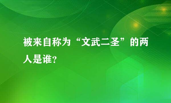 被来自称为“文武二圣”的两人是谁？