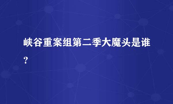 峡谷重案组第二季大魔头是谁？