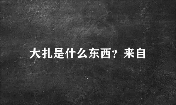 大扎是什么东西？来自