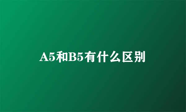 A5和B5有什么区别