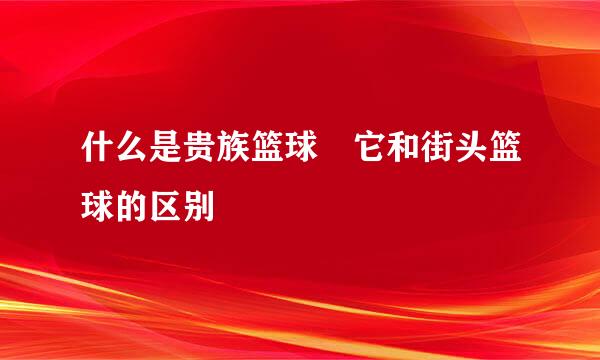 什么是贵族篮球 它和街头篮球的区别